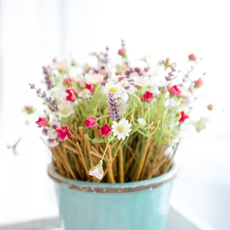 Fuer 4 Sotmirana Zentrum * לנזרהיידה